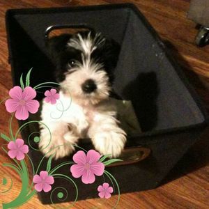 Meet your Posher, Rhonda